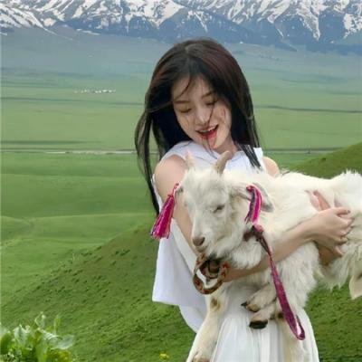 追杀51号