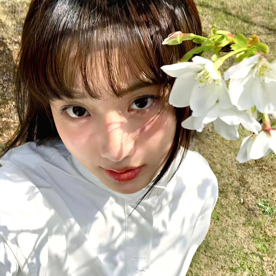 狗咬狗